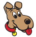 newdog's company logo which pictures a a brown dog with a red collar